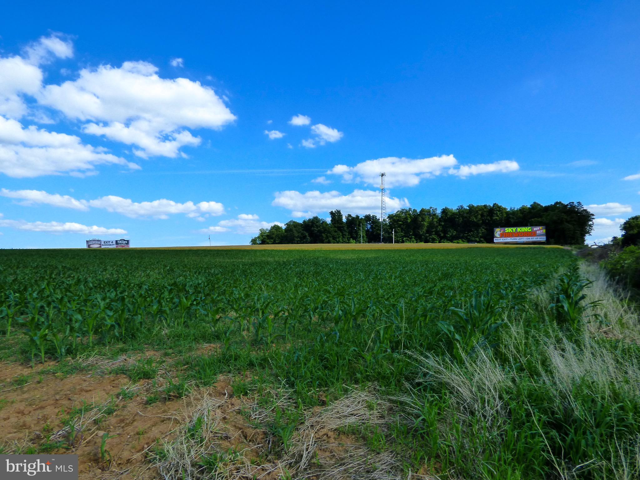 NONE AVAILABLE - Farm