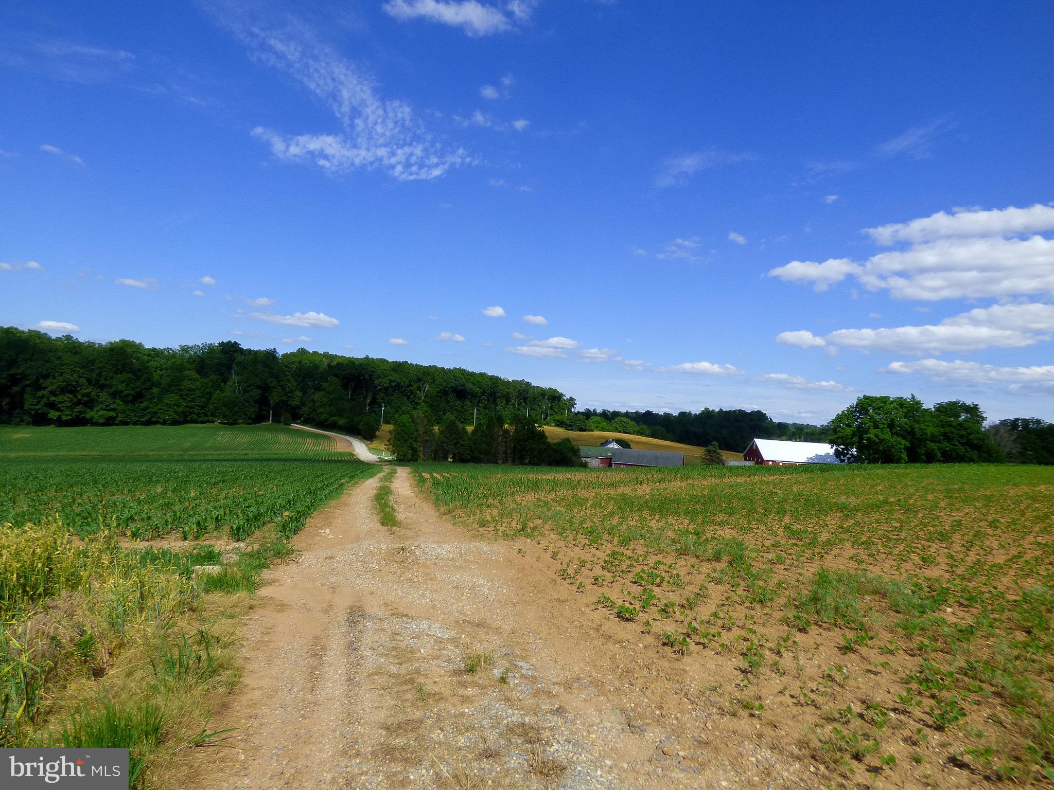 NONE AVAILABLE - Farm