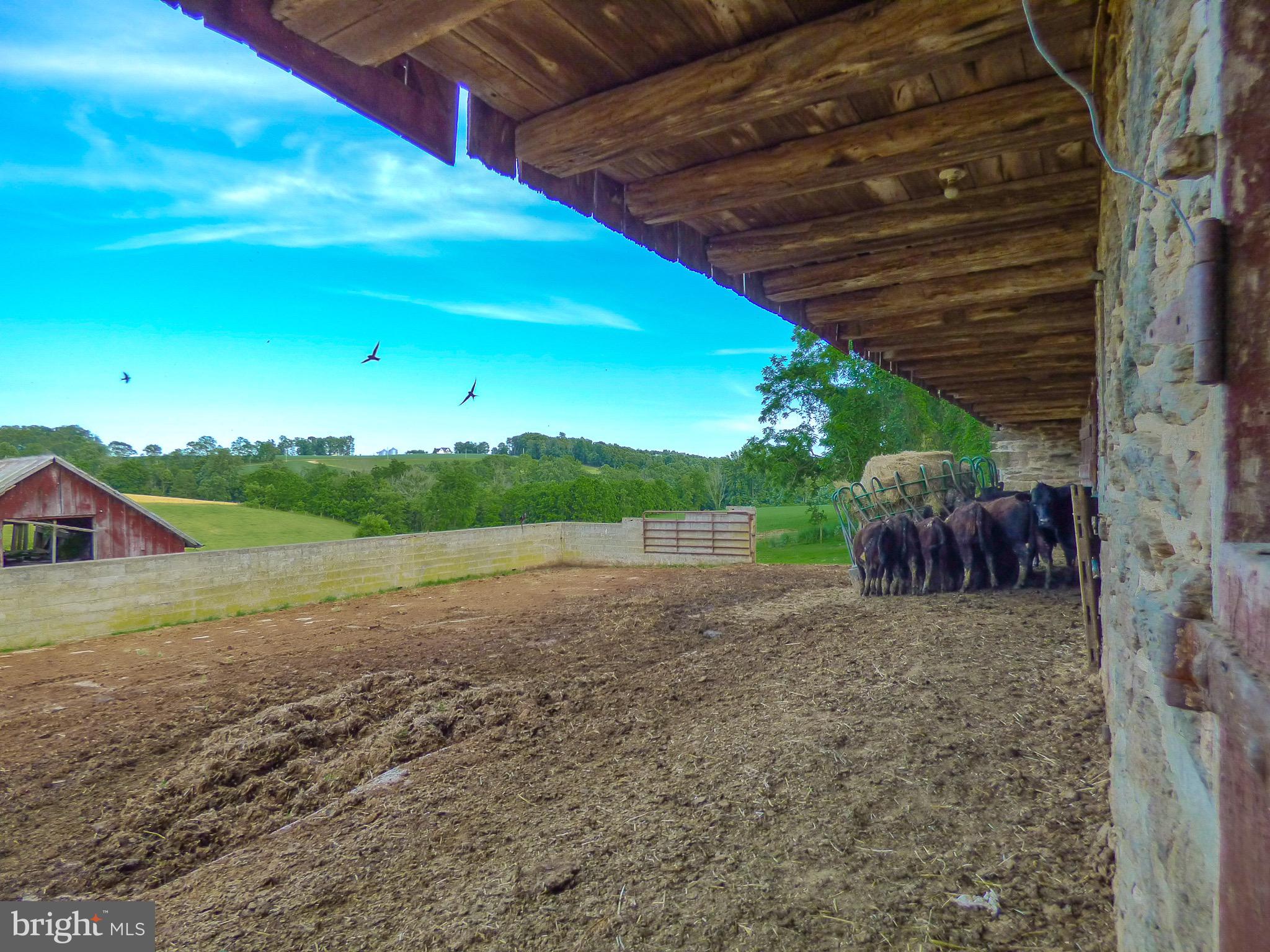 NONE AVAILABLE - Farm