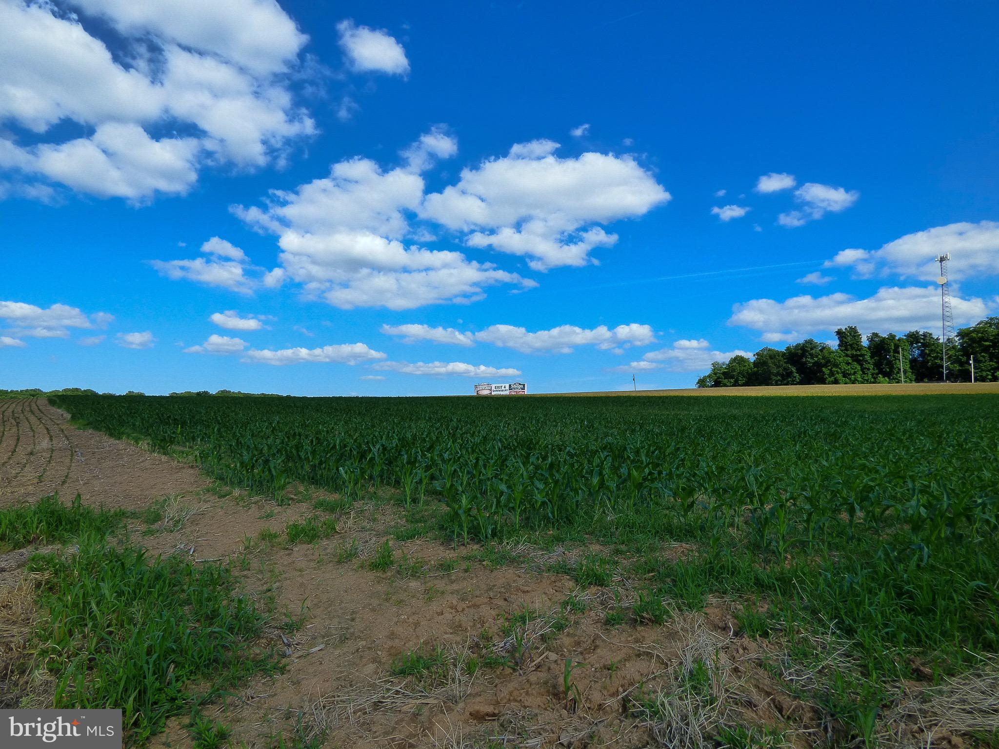 NONE AVAILABLE - Farm