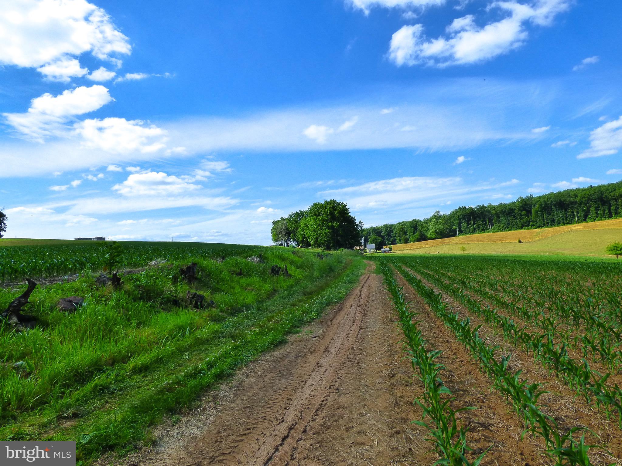 NONE AVAILABLE - Farm