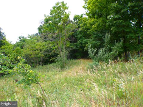 Vacant Land For Sale - 10.1 Ac Waxler Road<br/> Mineral County, KEYSER, WV 26726