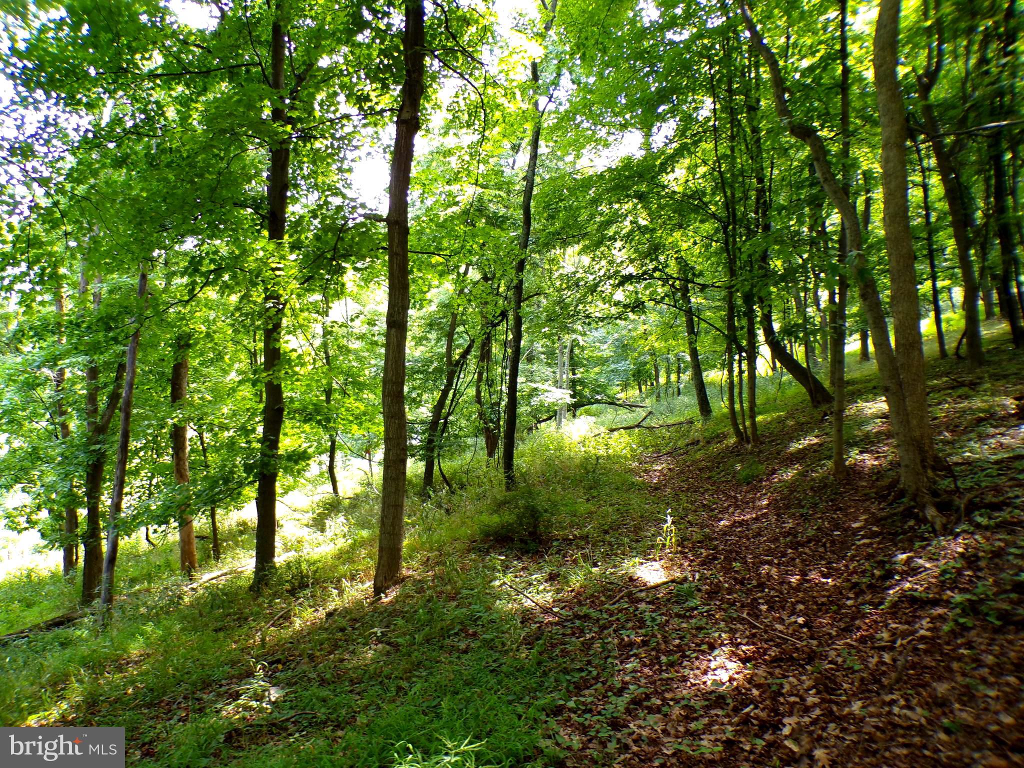 10.1 AC WAXLER ROAD