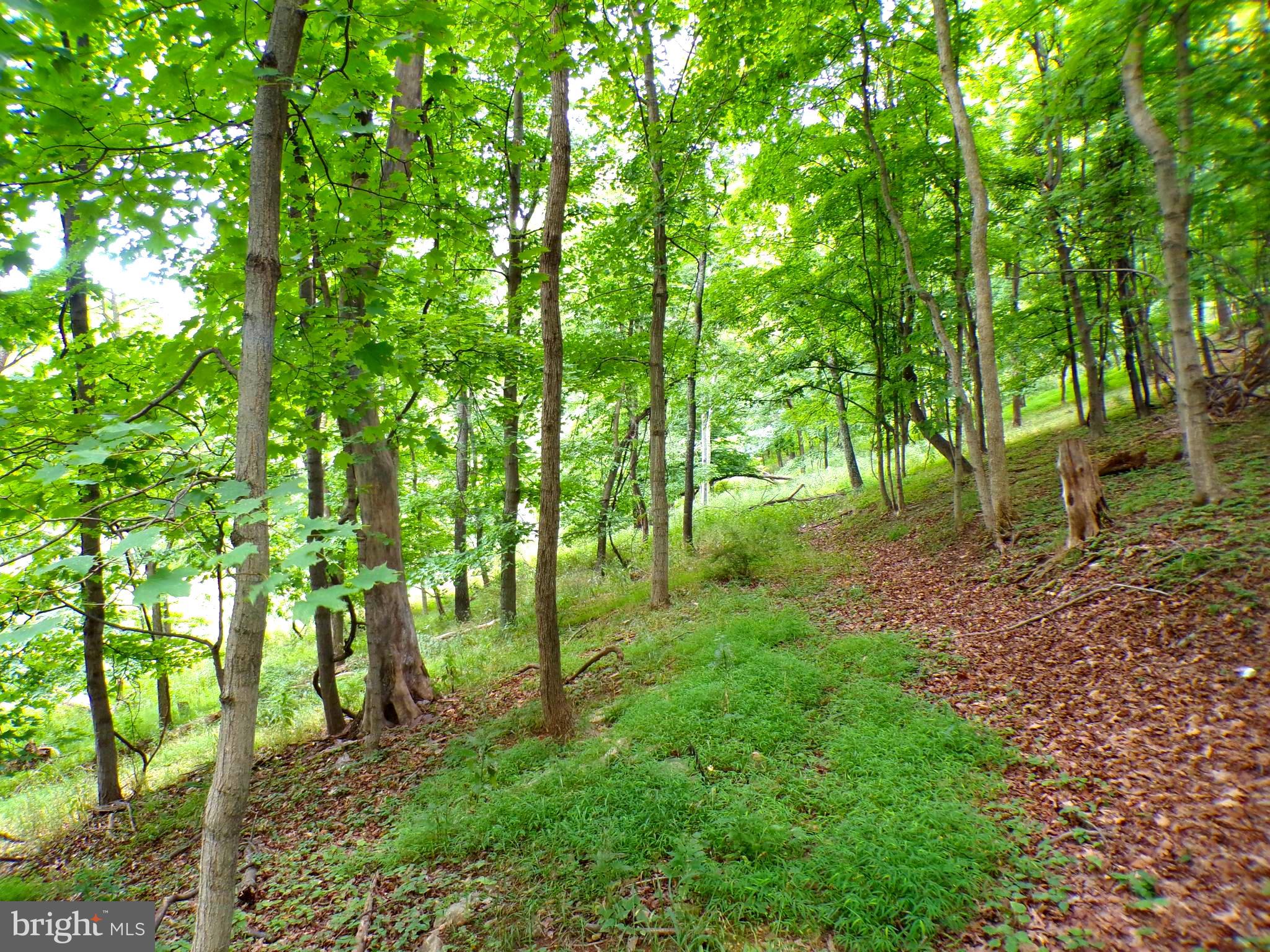 10.1 AC WAXLER ROAD