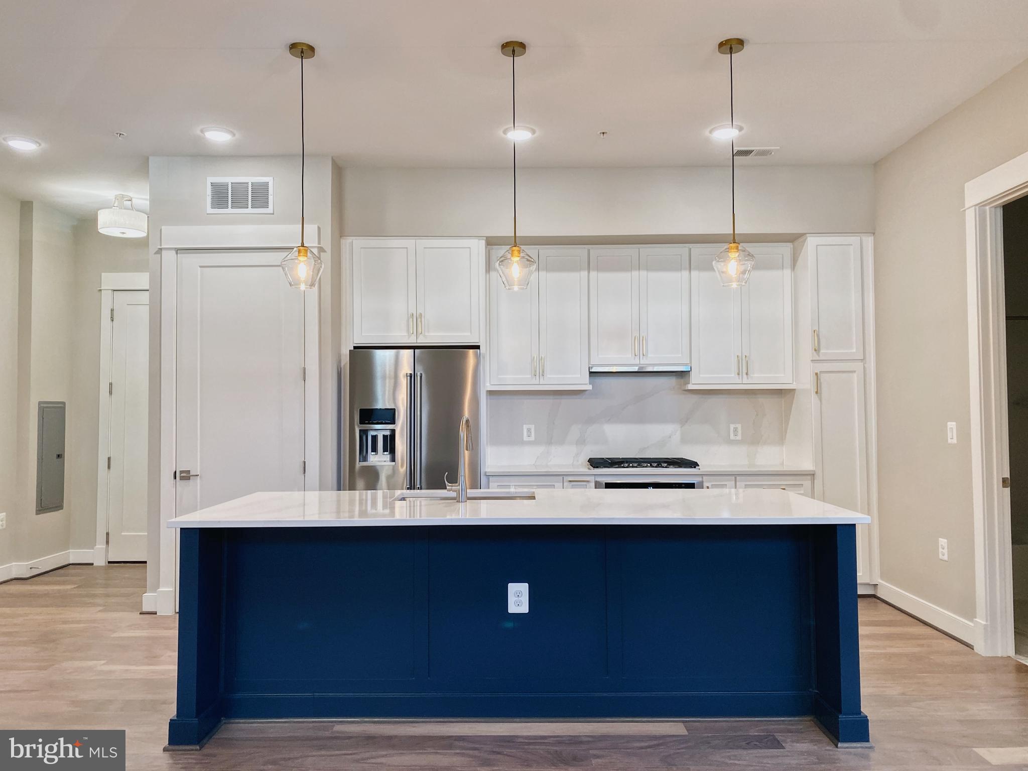 The pictures speak for themselves in this luxury one bedroom condo in the heart of downtown Leesburg! This beautiful corner unit condo boasts high-end finishes throughout and sky high ceilings. Natural light radiates through the oversized windows. The gourmet kitchen is outfitted with top of the line KitchenAid appliances and gorgeous quartz countertops. Engineered hardwood flooring provides both beauty and durability. This turn-key condo comes equipped with Hunter ceiling fans, pendant lighting, and custom top-down bottom-up window treatments. Reserved parking is located right outside the unit--not to mention all of Leesburg's covenient amenenities easily within walking distance. Make an appointment now to see this spectacular condo before it's too late!
