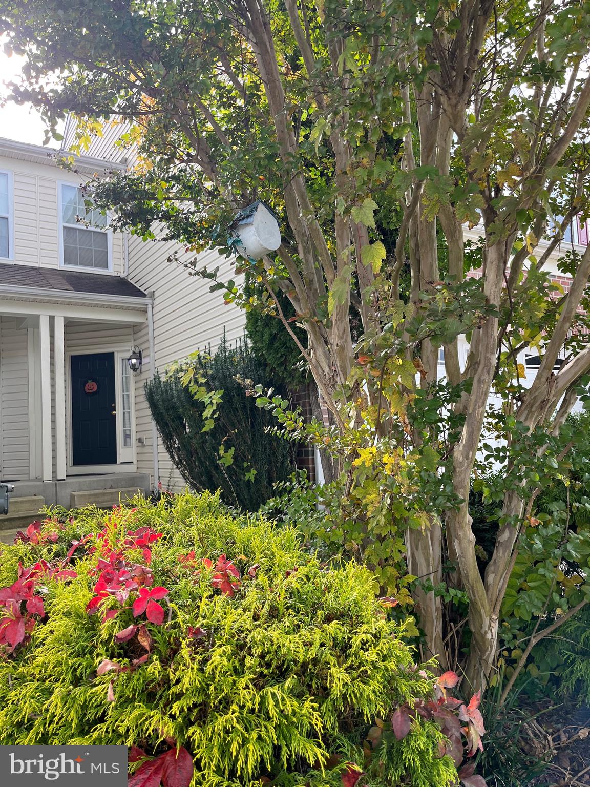 4817 ATLAS CEDAR WAY