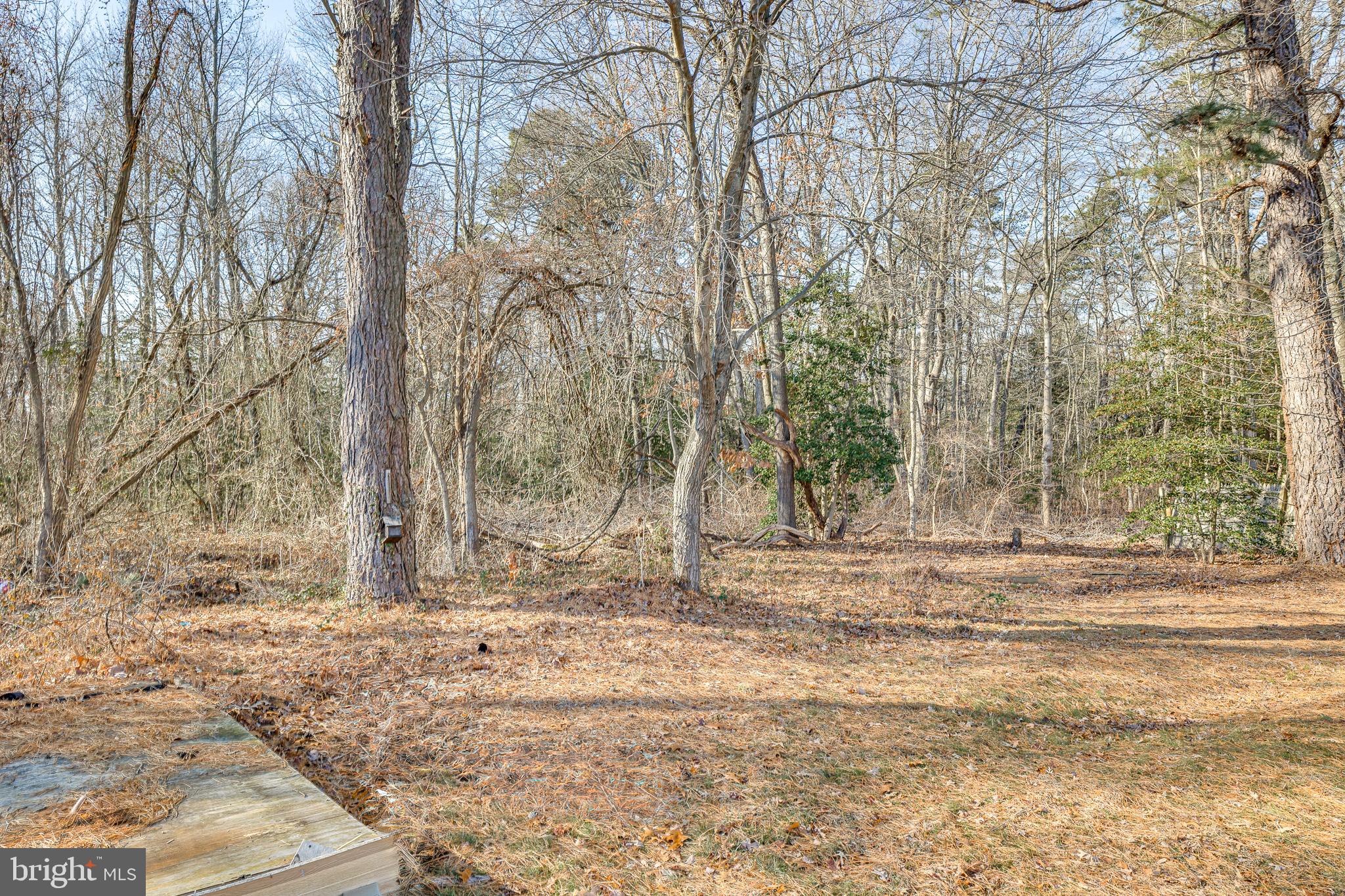 WOODS OF WASHINGTO - Residential