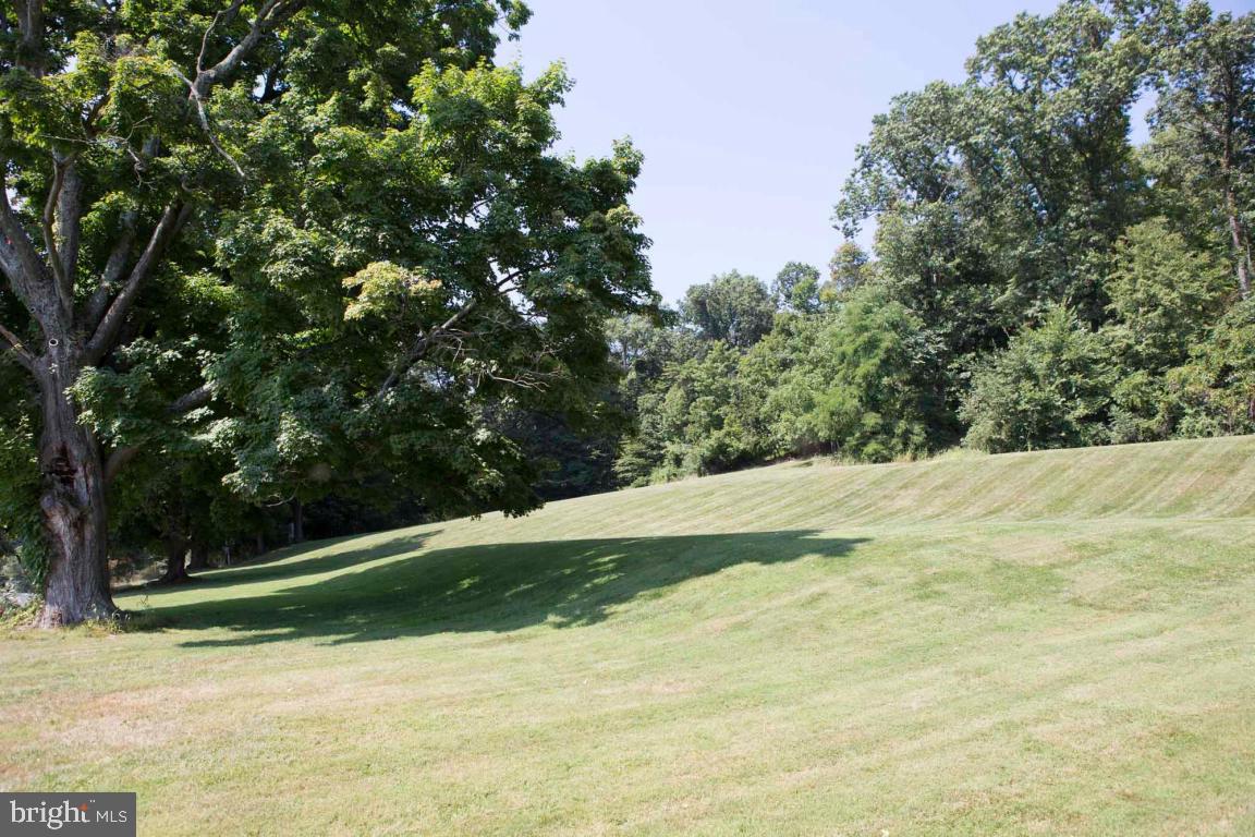 BRICKERVILLE - Residential