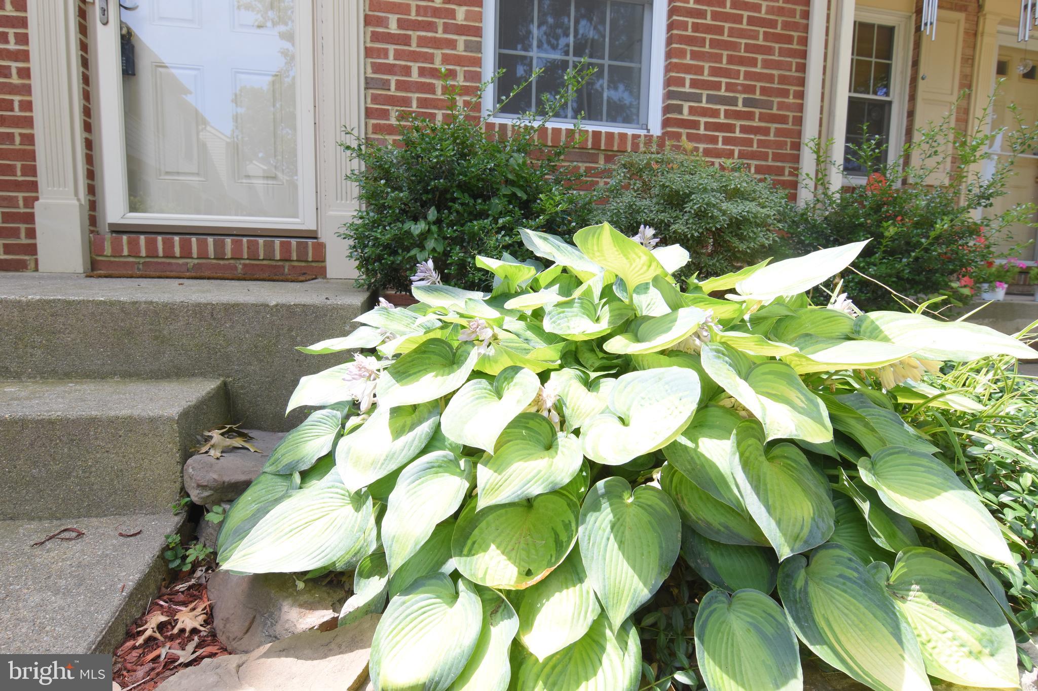 NEWINGTON HEIGHTS - Residential Lease