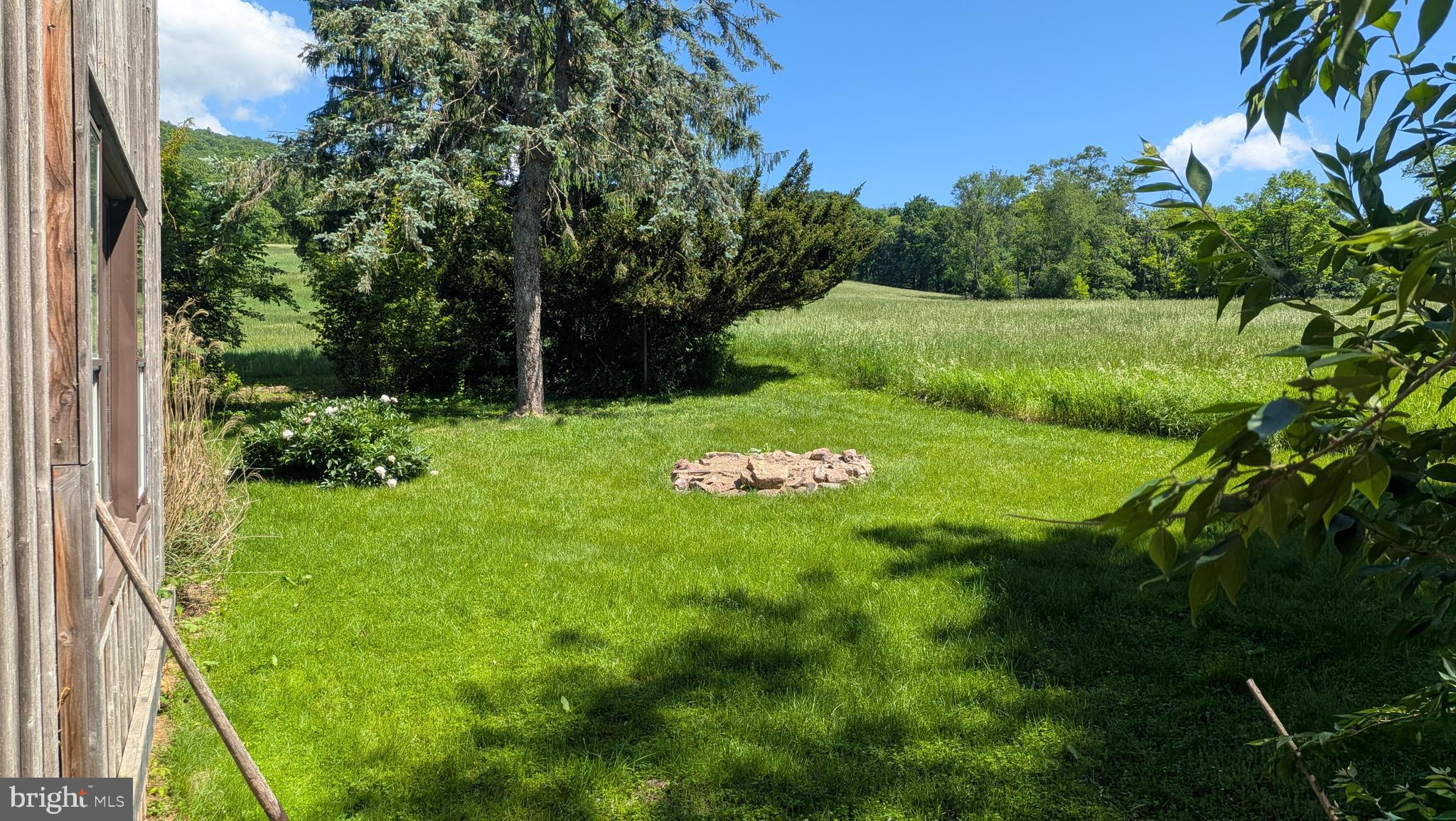 651 BAMBOO LANE