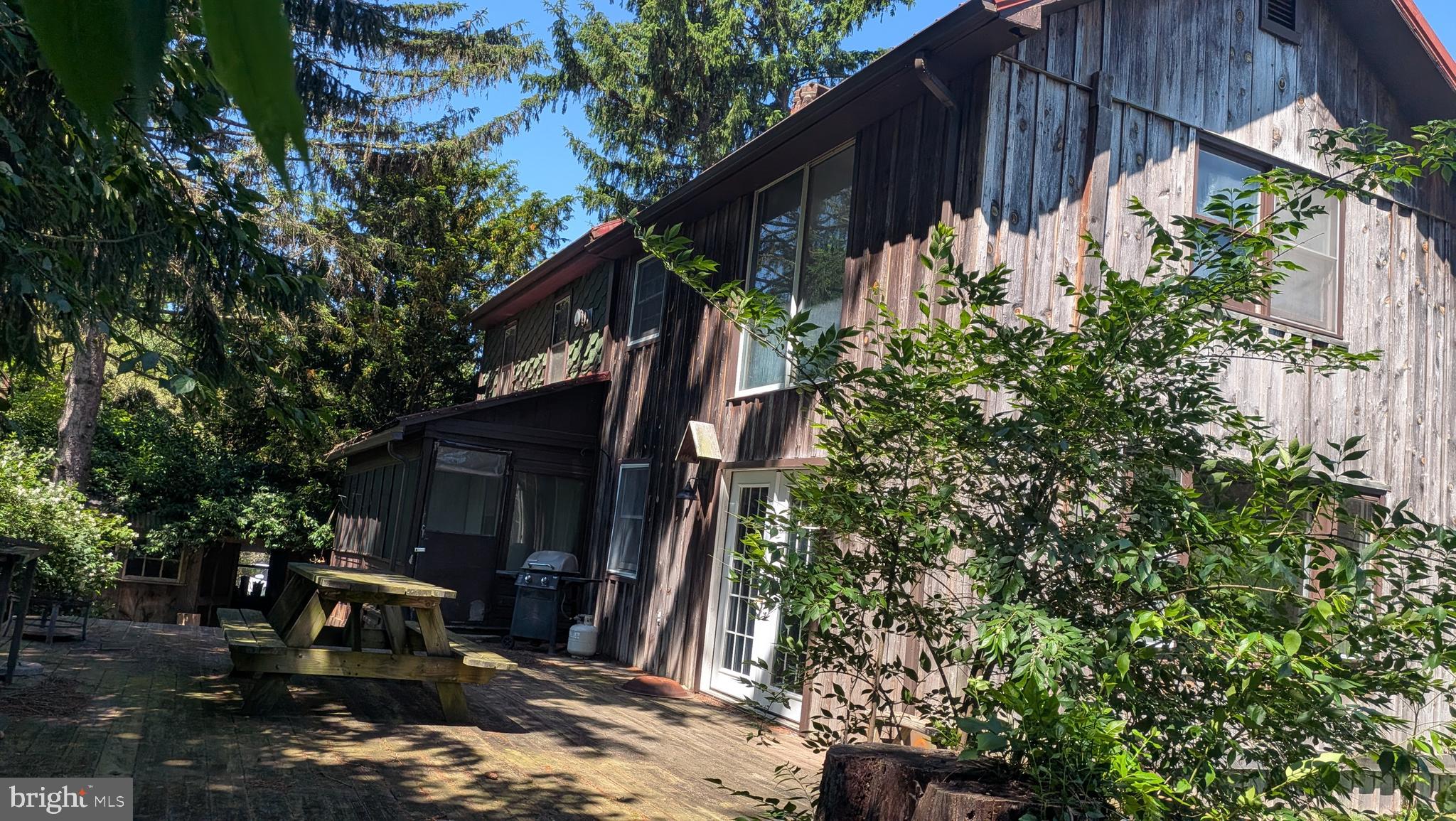651 BAMBOO LANE