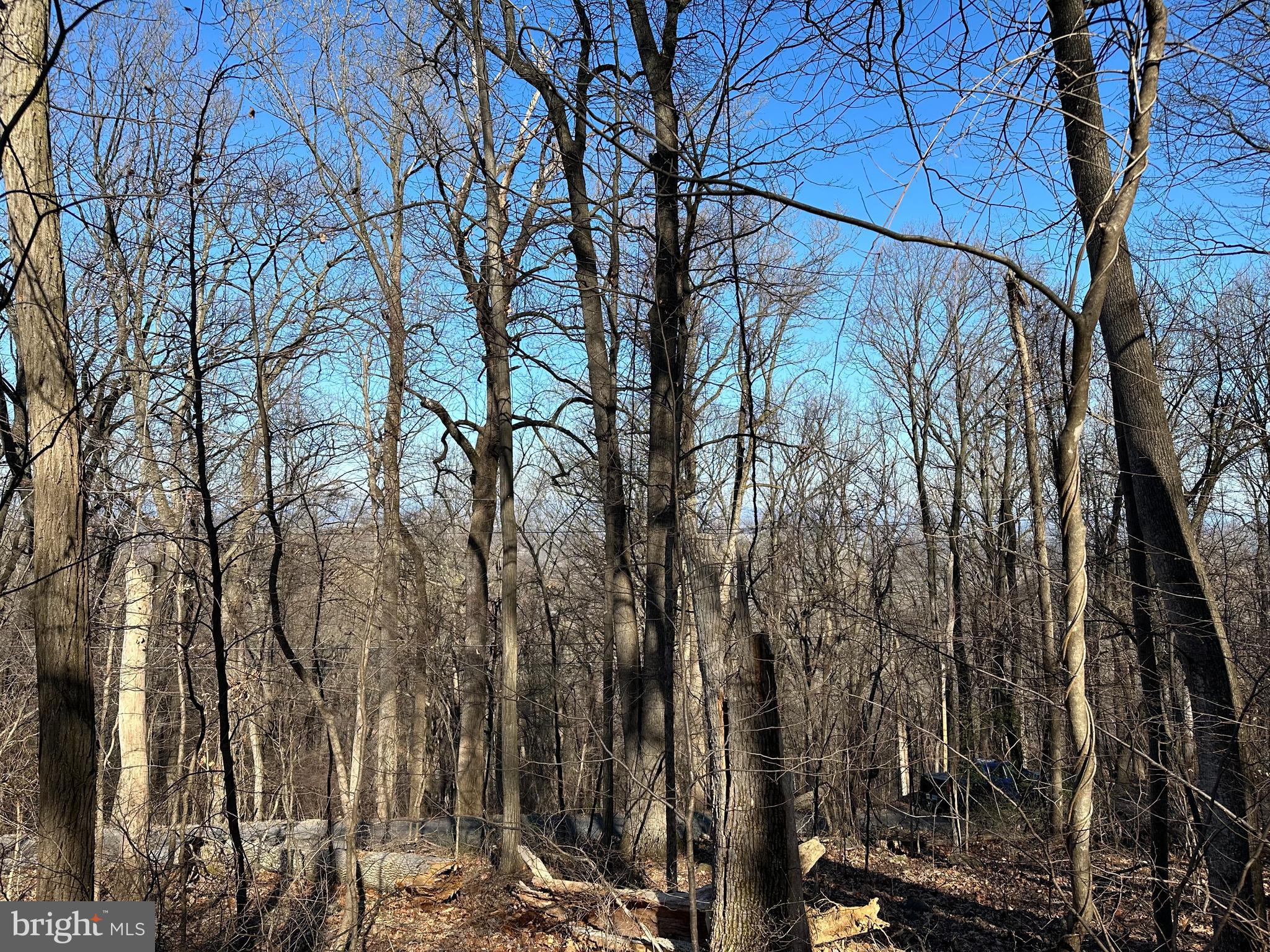 SHENANDOAH FARMS - Land