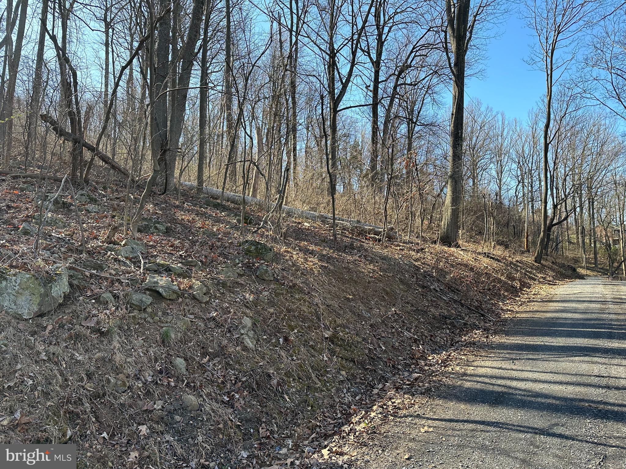 SHENANDOAH FARMS - Land