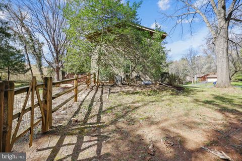 listing image 65