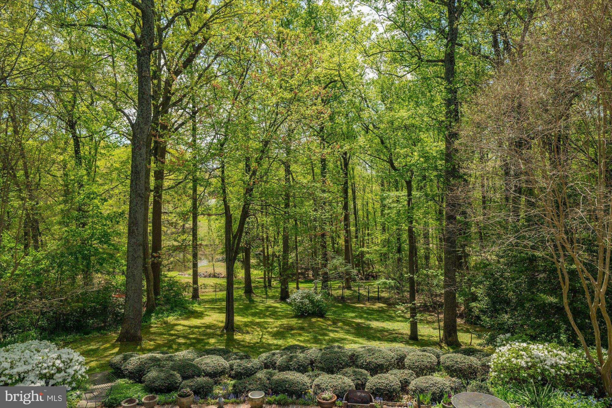 POTOMAC FALLS - Residential