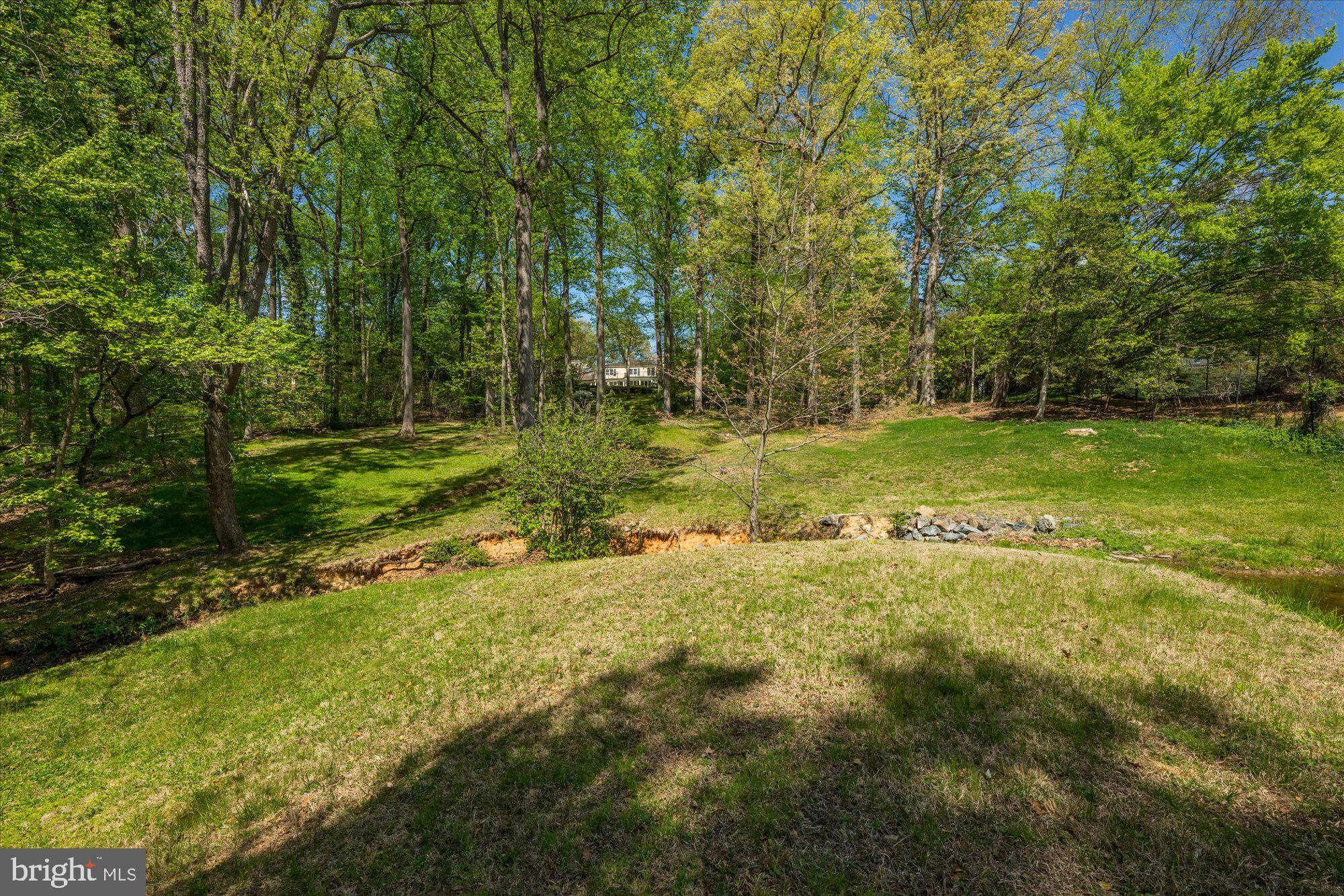 POTOMAC FALLS - Residential