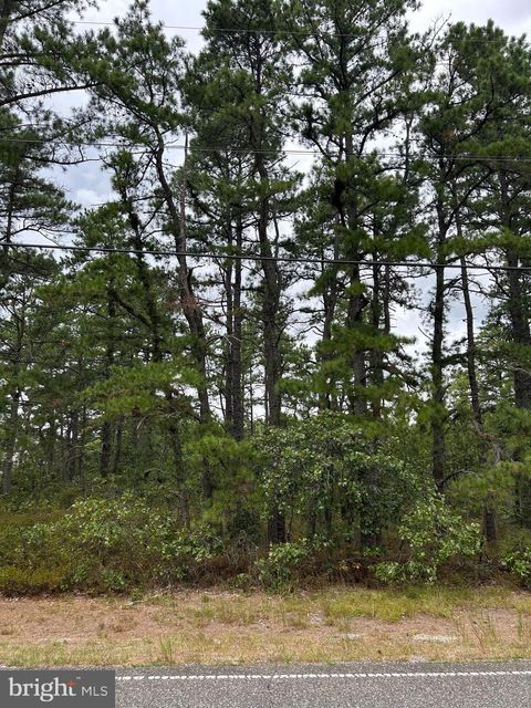 Vacant Land For Sale - Savoy Boulevard<br/> CHATSWORTH, NJ 08019