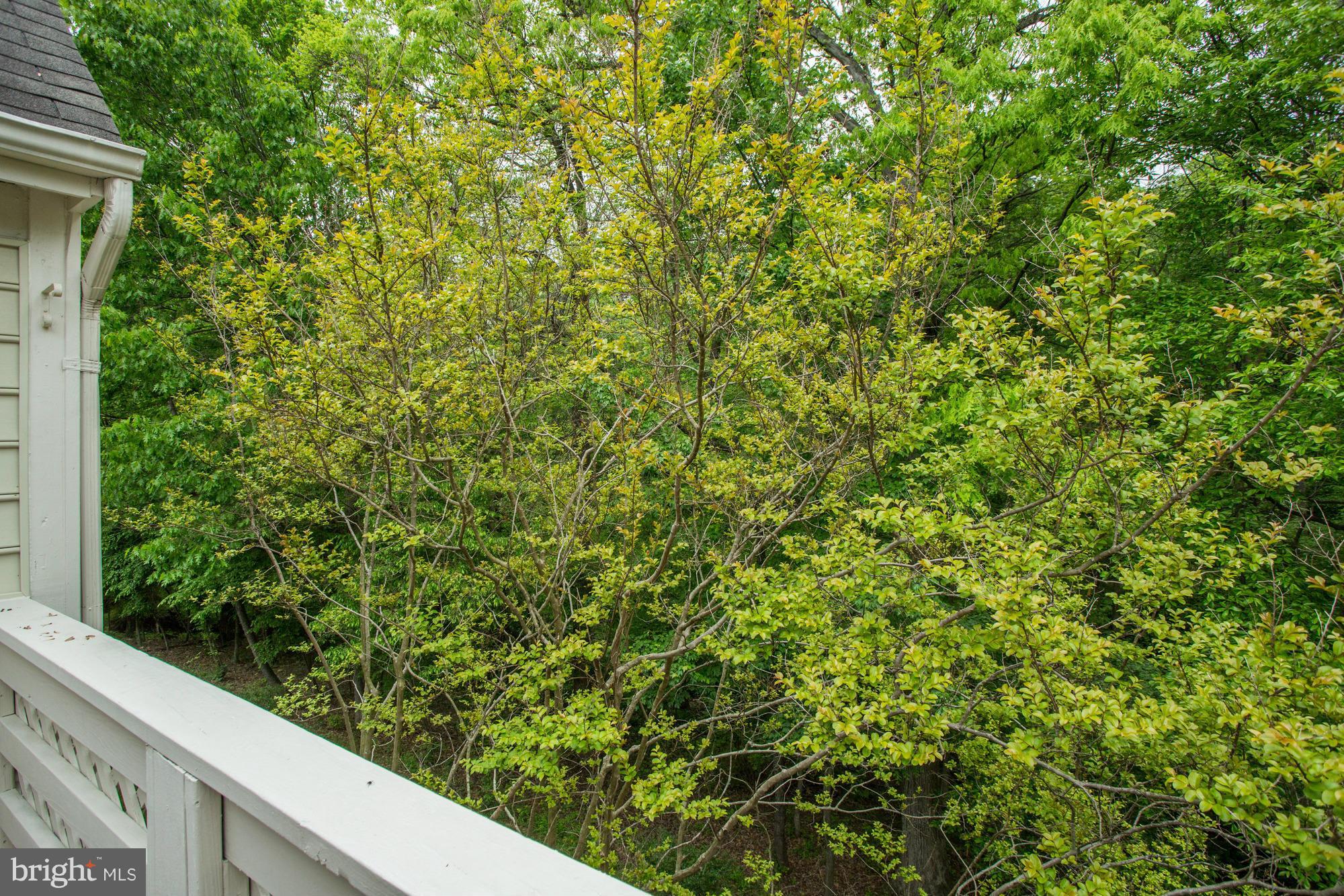 WILLOW POINT - Residential