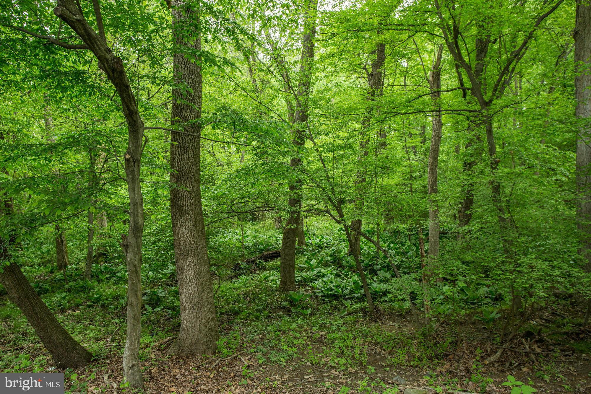 WILLOW POINT - Residential