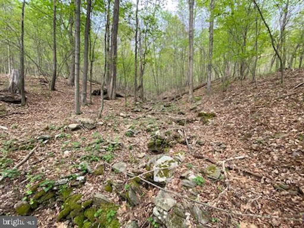 Photo of 0 Right Hand Gap Road, CLAYSBURG, PA 16625 (MLS # PABR2015822)