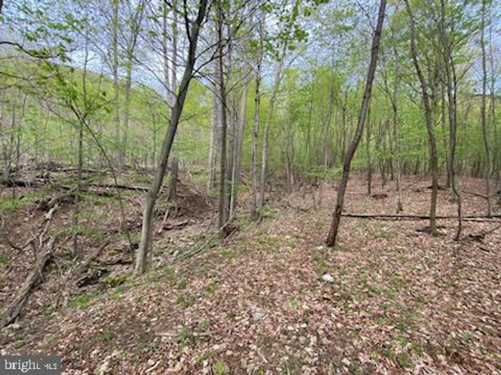 Photo of 0 Right Hand Gap Road, CLAYSBURG, PA 16625 (MLS # PABR2015822)