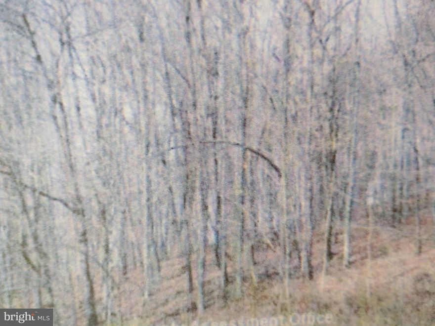 Southern Blair County 22.5 Acres of Muntain Land.  Excellent Hunting Top View. Medium age Timber. This property starts Back 240 Ft. From Hard Rd.  On old logging Rd. You have to cross Carson Run which runs parell to hard rd.  You can find the tract on On-X Hunting. under McCollensburg Tyler  Cord.40.33538-78.5222  At this time there no Deeded R/W .  Previous owner  owned Over 55 + years. You can see Old Logging Rd.in Picture.