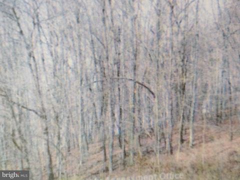 Vacant Land For Sale - 22 Right Hand Gap Road<br/> CLAYSBURG, PA 16625