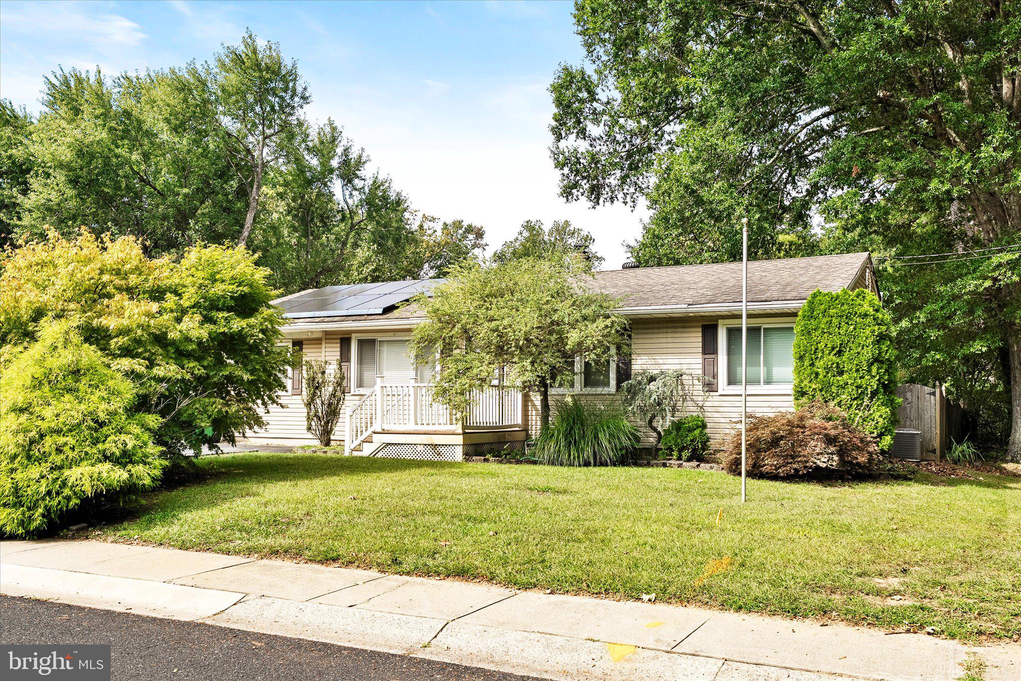 41 CEDAR STREET