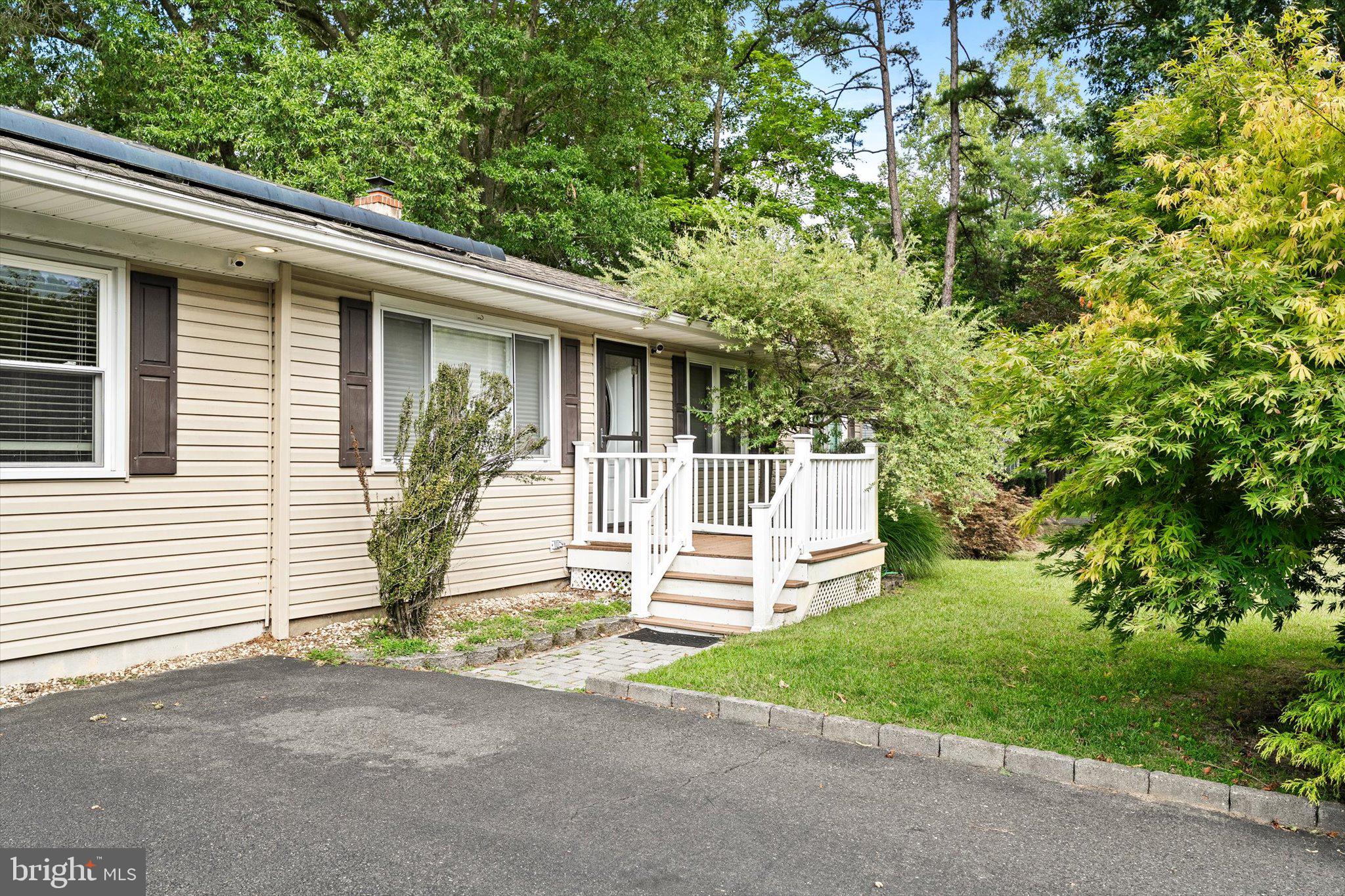 41 CEDAR STREET