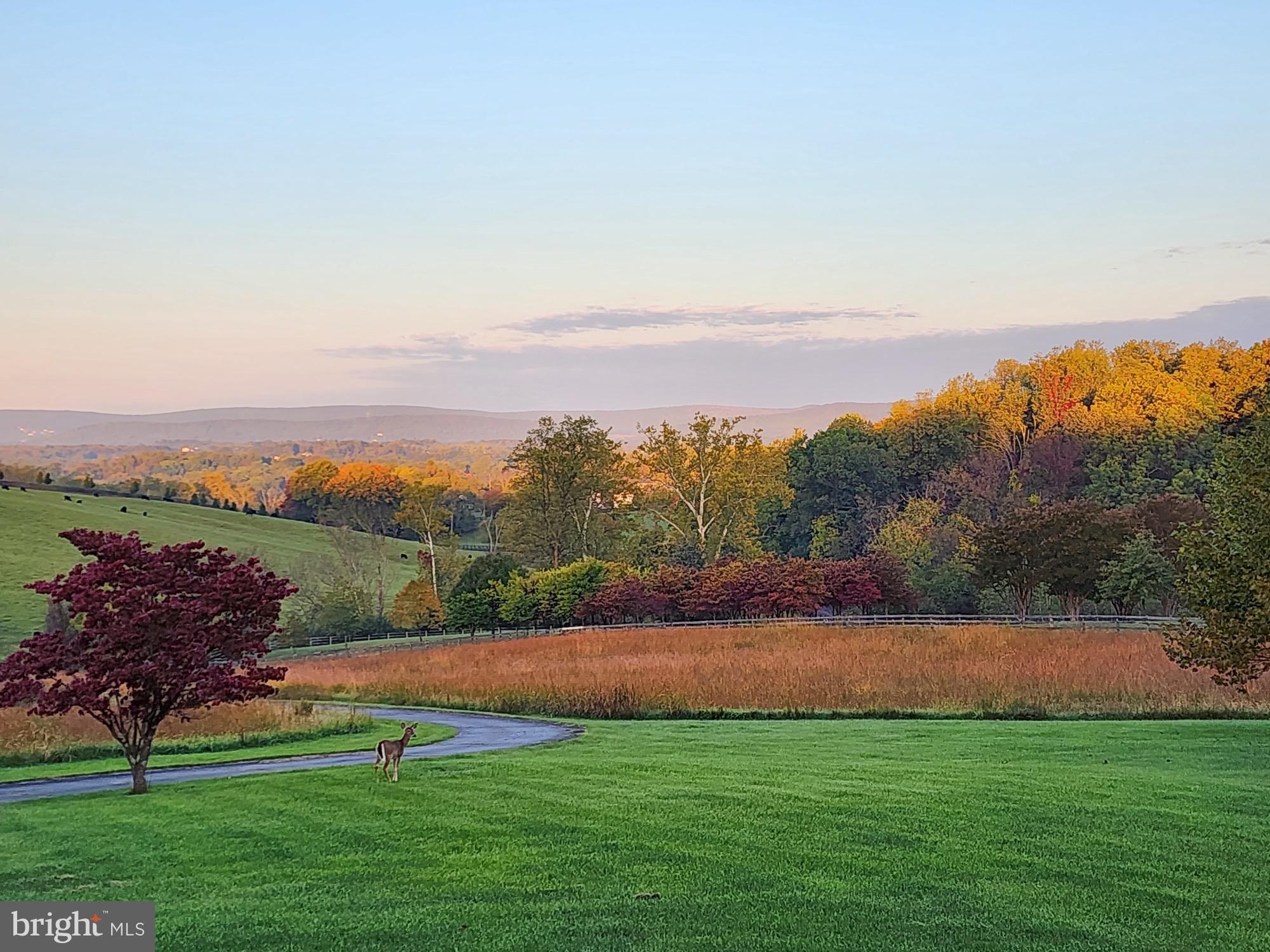 WATERFORD - Residential
