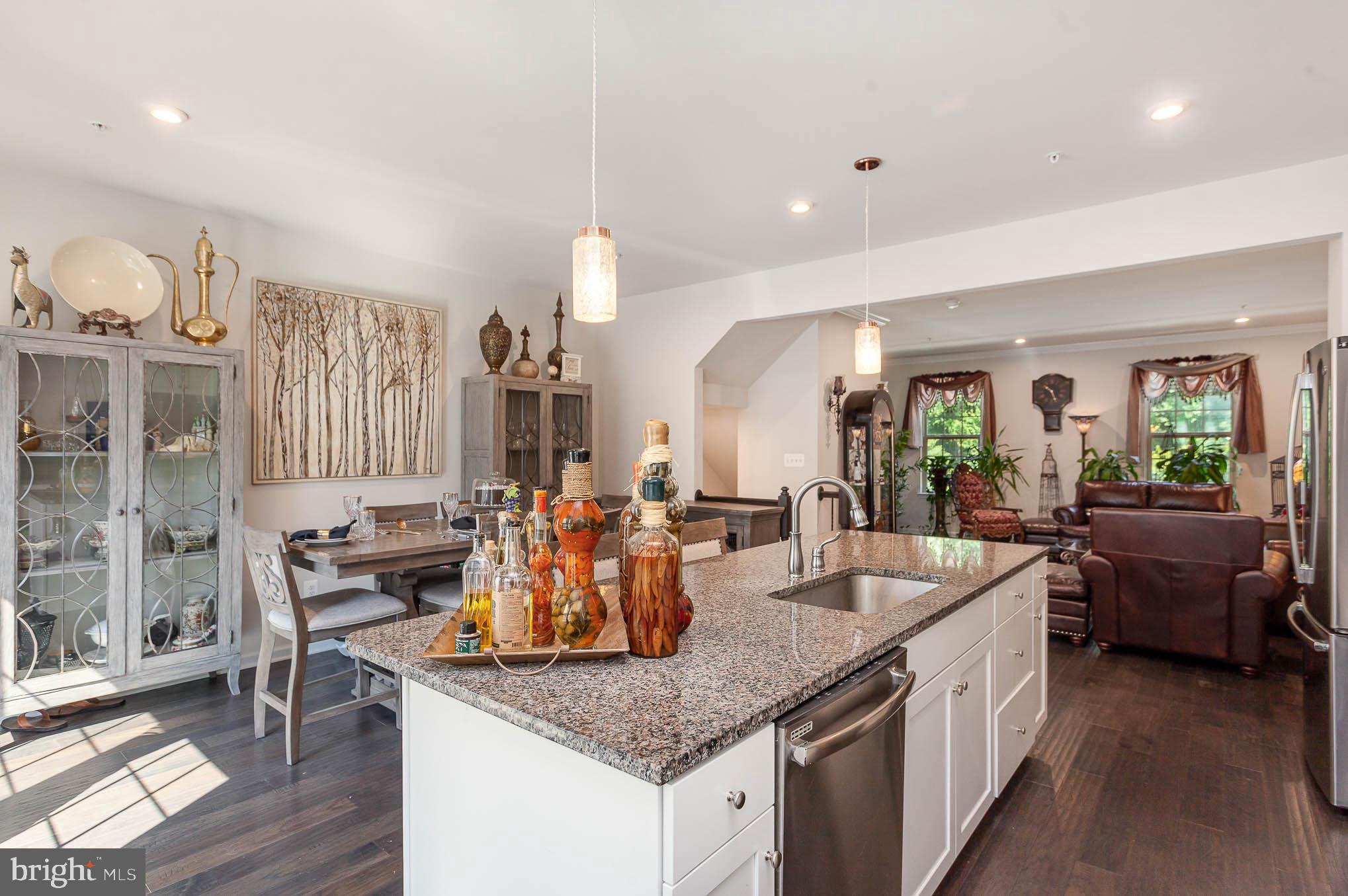 PRESERVE AT WINDLASS RUN - Residential