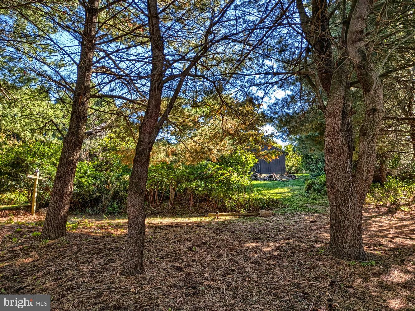 1115 WHITEHALL DRIVE