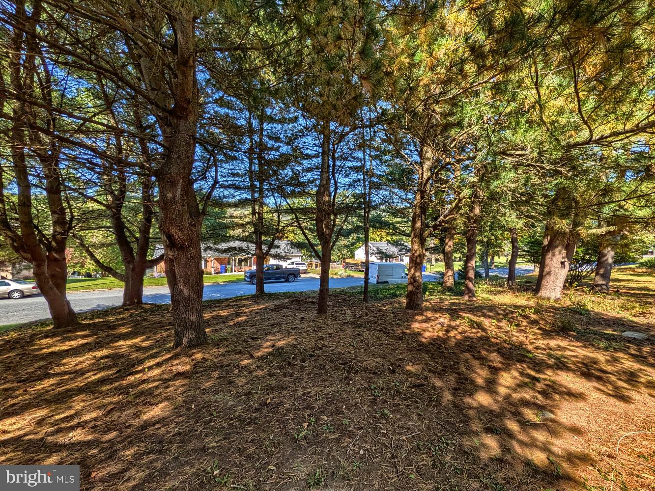 1115 WHITEHALL DRIVE