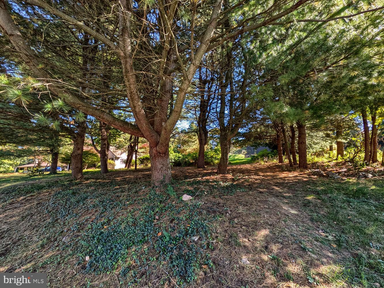 1115 WHITEHALL DRIVE