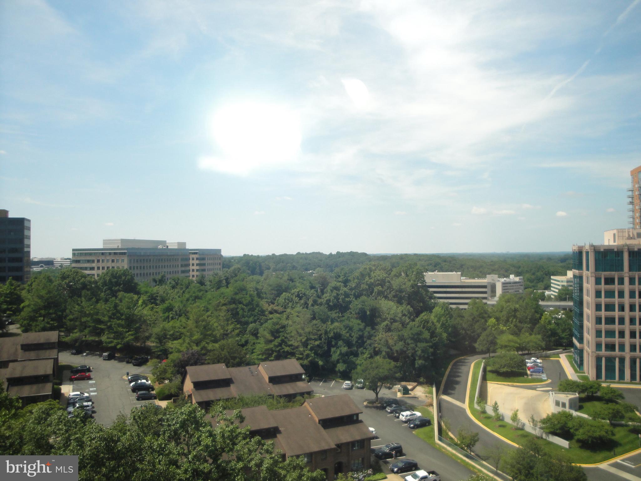 ROTONDA - Residential Lease