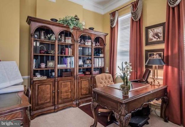 LEONARDTOWN FARMS - Residential