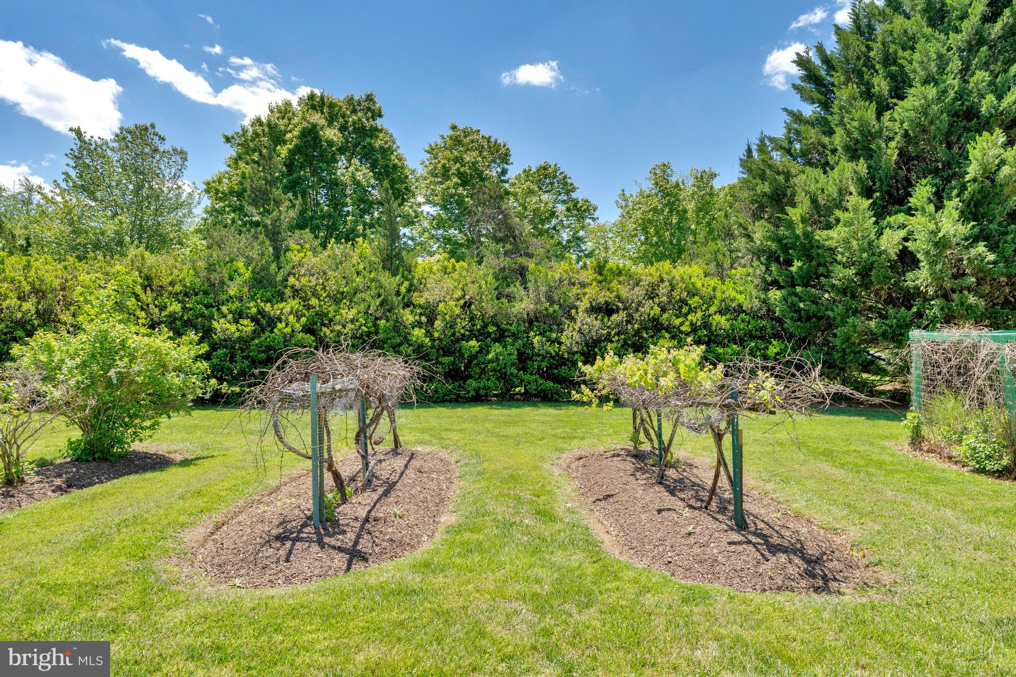 EVERGREEN FARM - Residential
