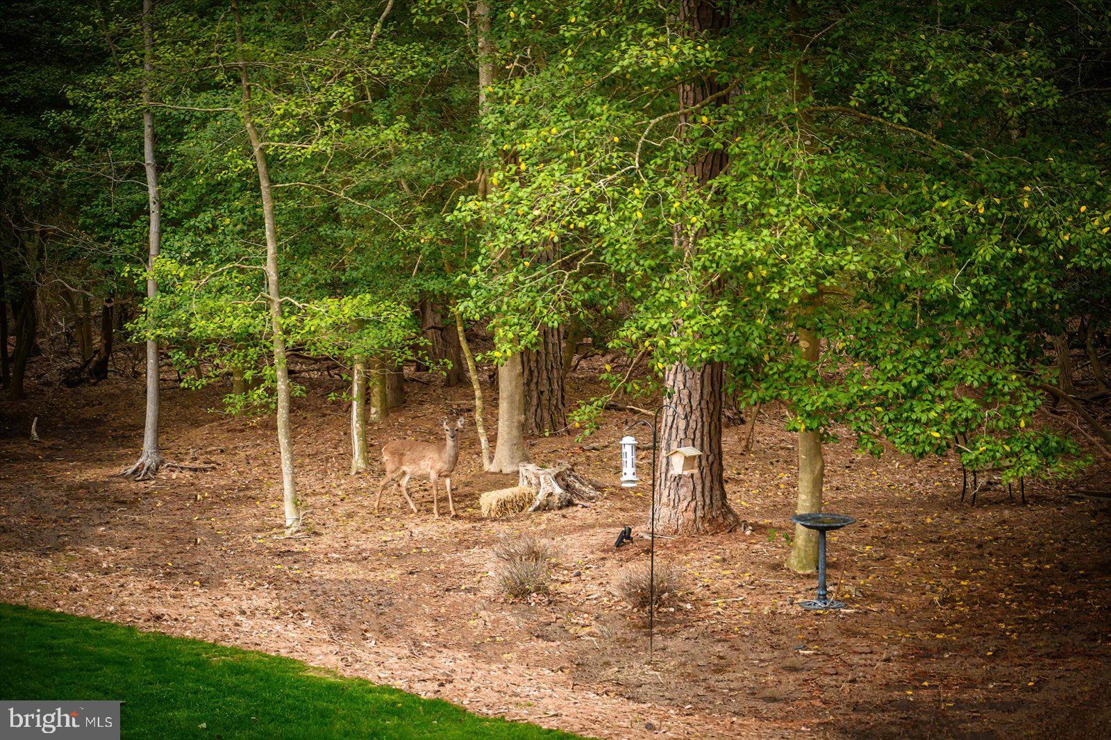 GLEN RIDDLE - Residential