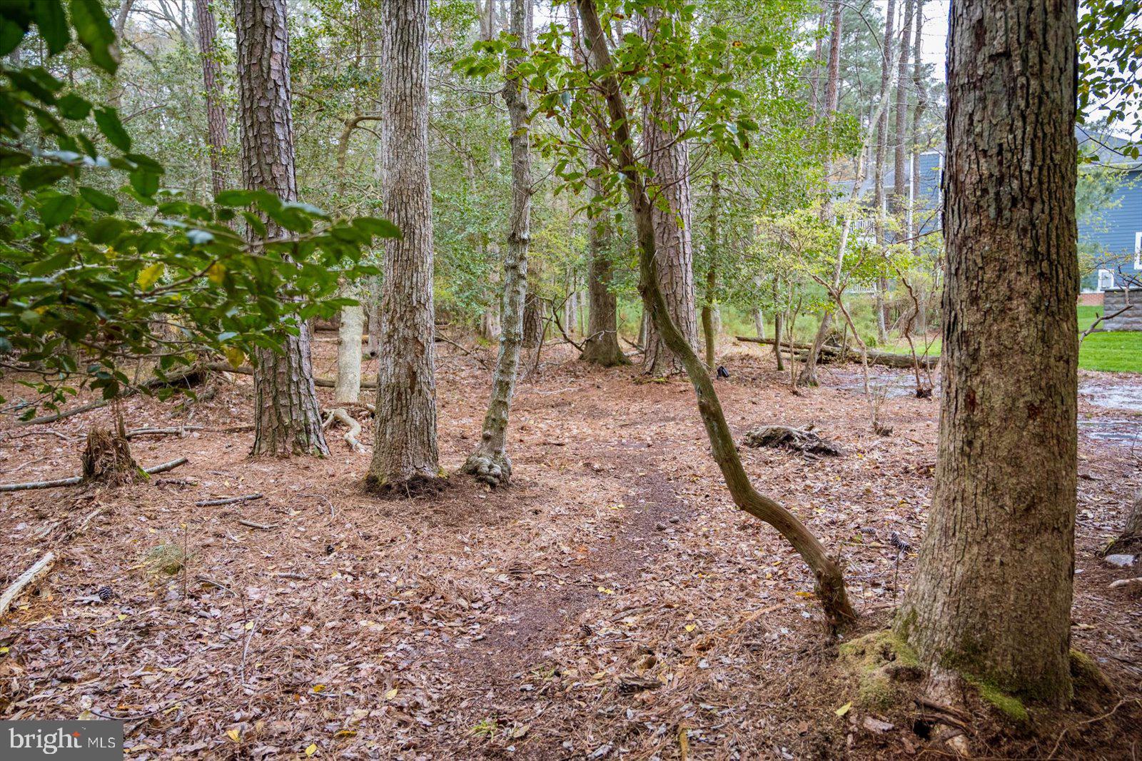 GLEN RIDDLE - Residential