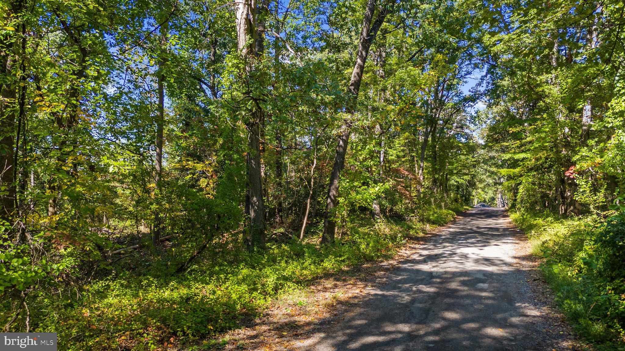4414 PURPLE MARTINS ROAD