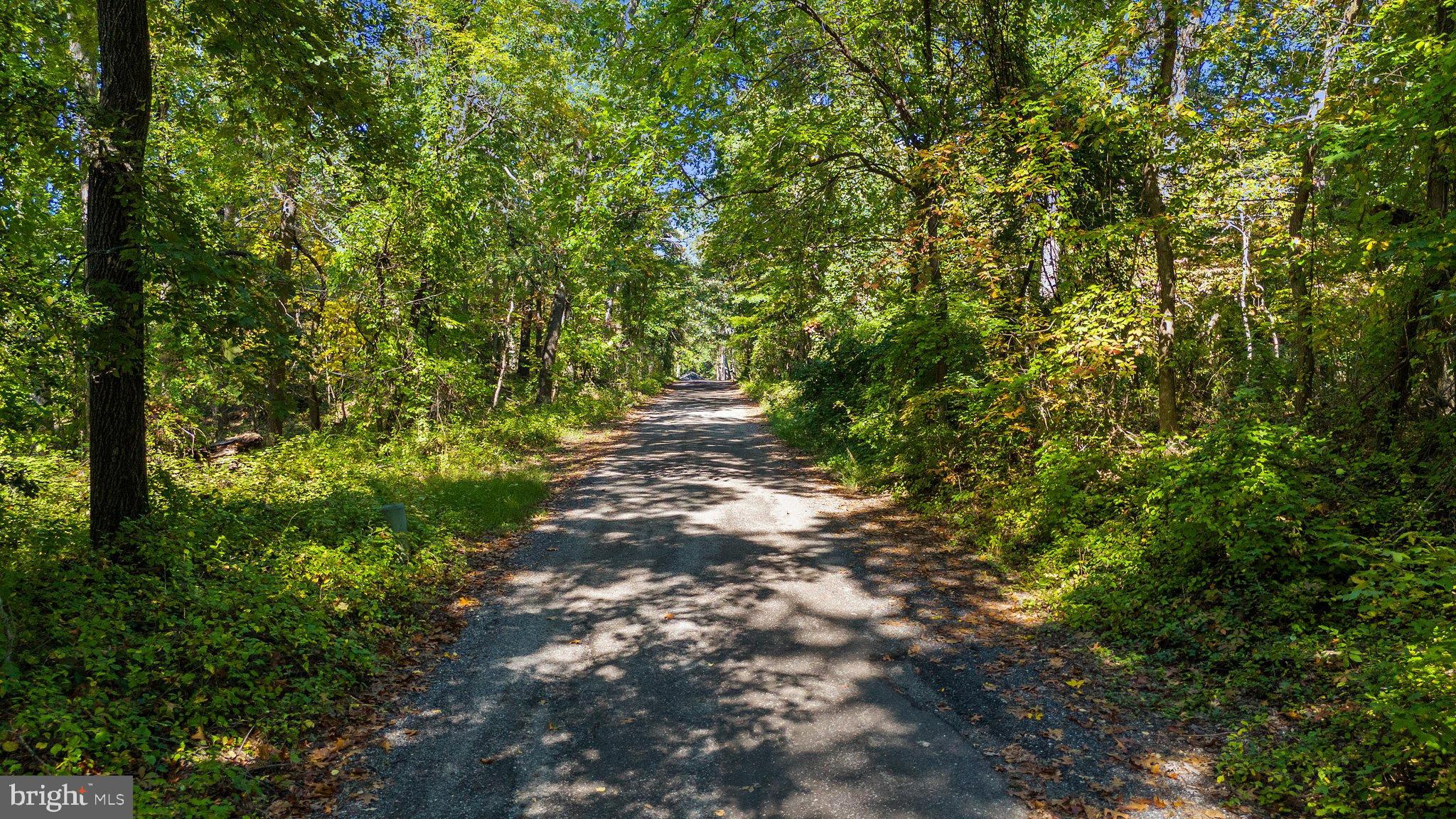 4414 PURPLE MARTINS ROAD
