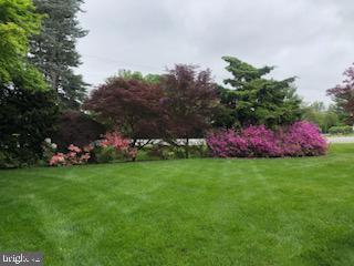 VAN LEAR - Residential