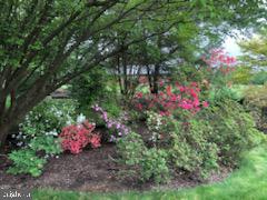 VAN LEAR - Residential