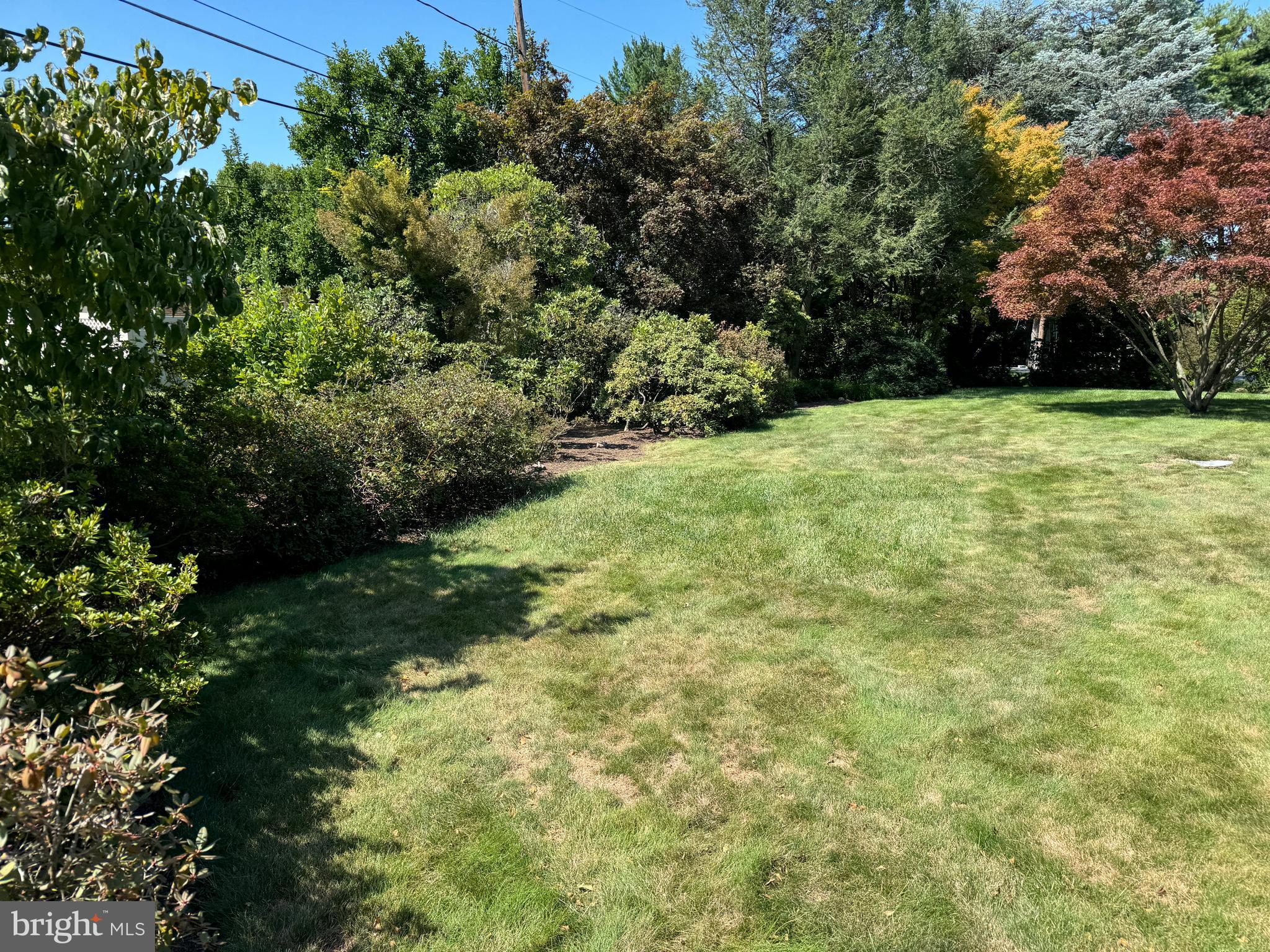 VAN LEAR - Residential