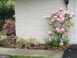 VAN LEAR - Residential