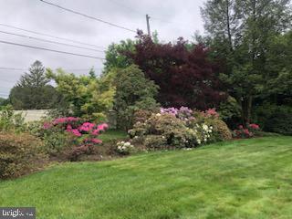 VAN LEAR - Residential