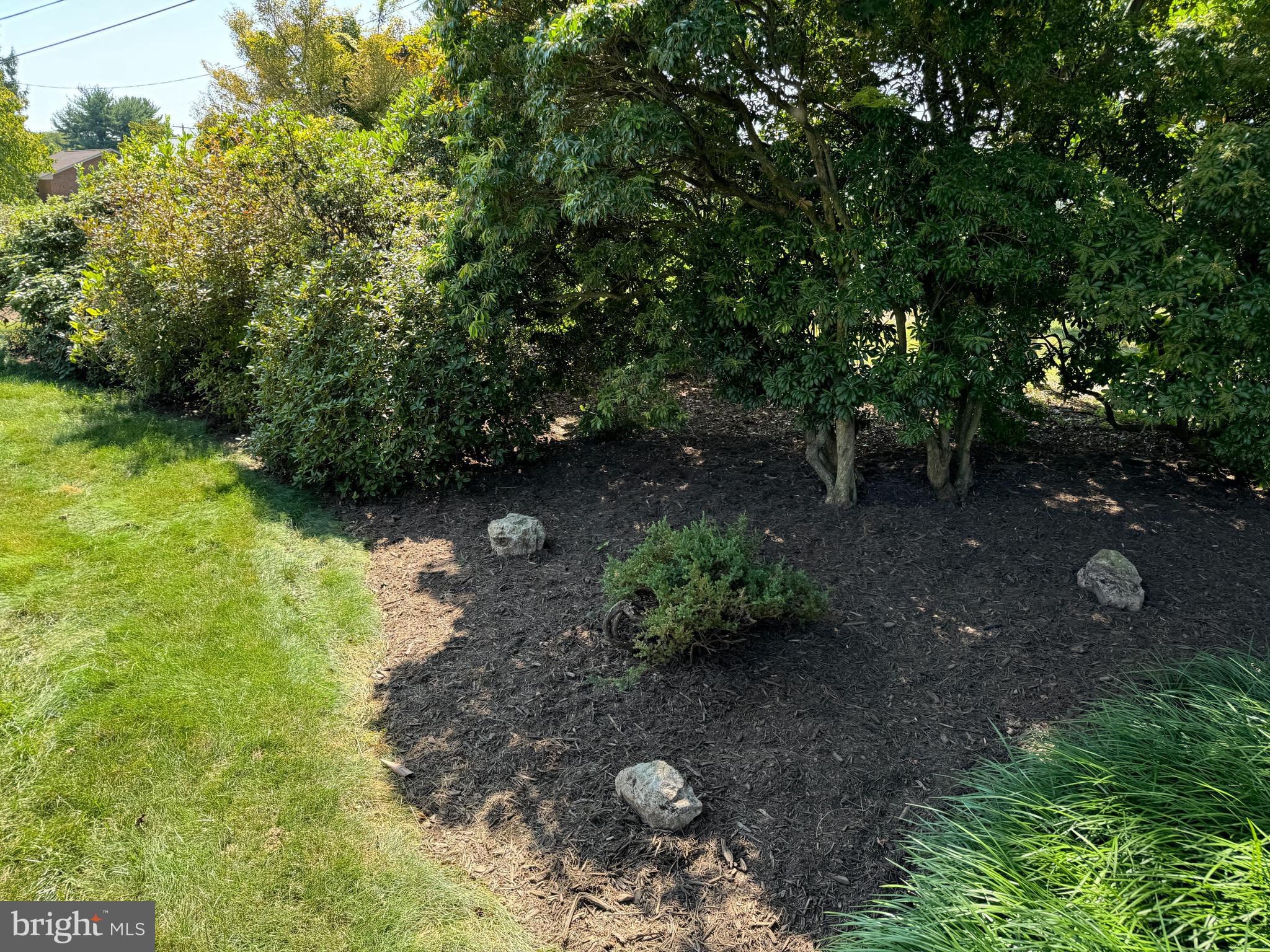 VAN LEAR - Residential