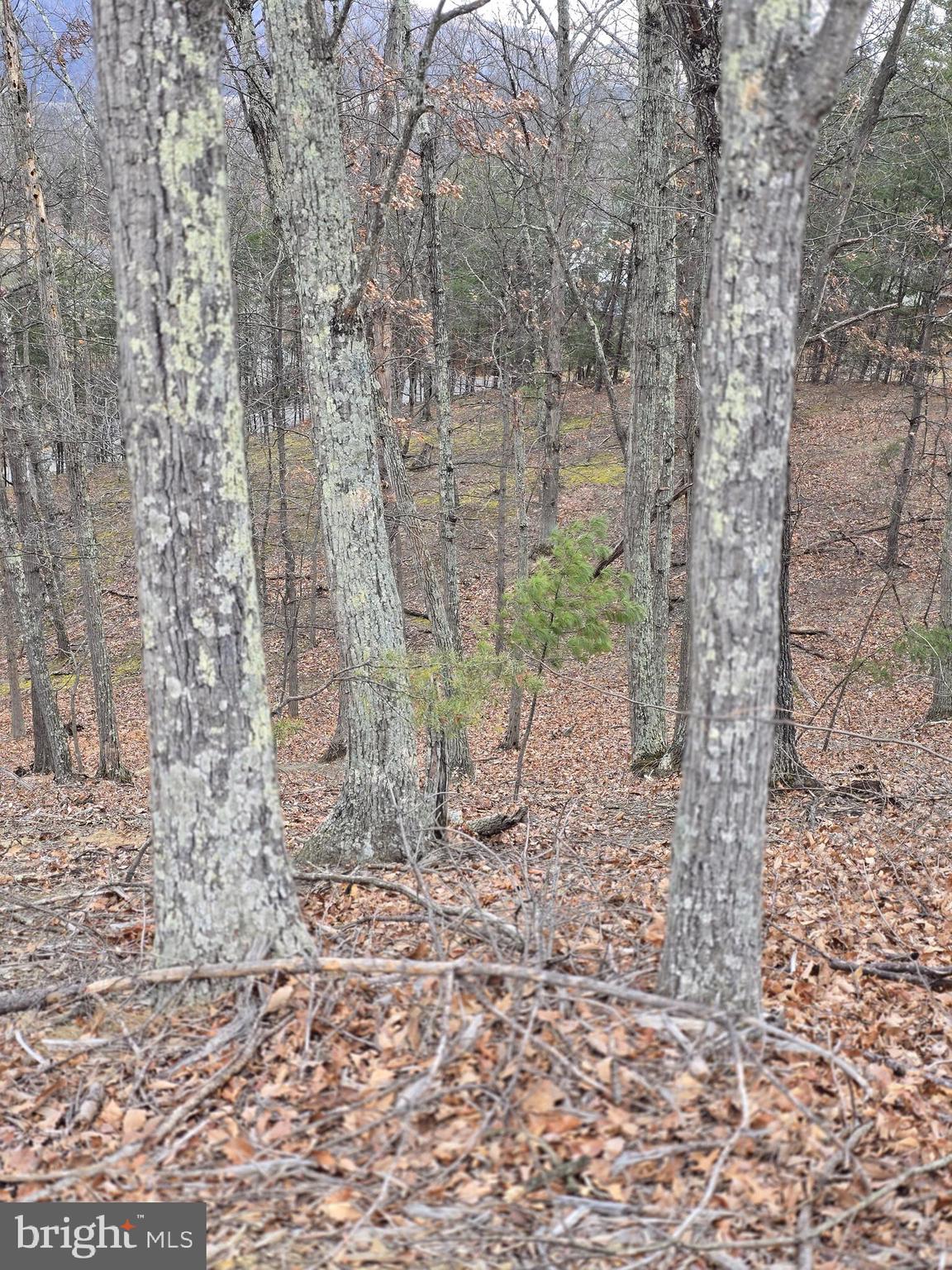 LOT 1 CORNWELL DRIVE