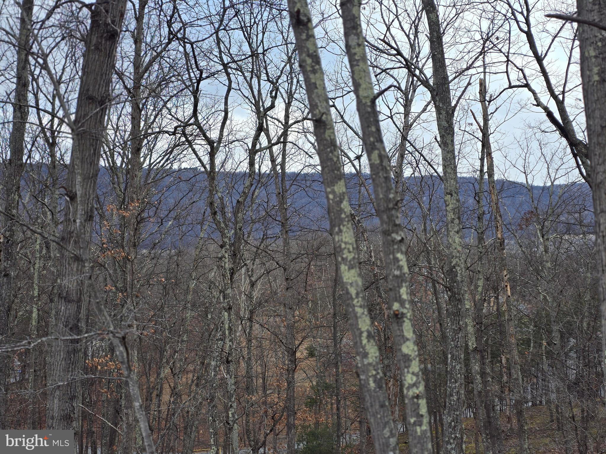 LOT 1 CORNWELL DRIVE