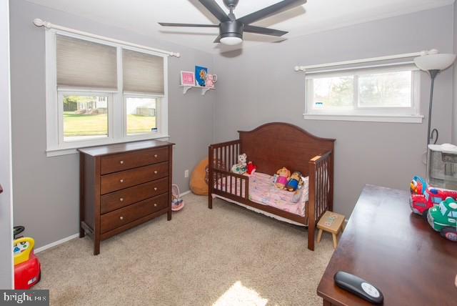 FOREST PARK - Residential